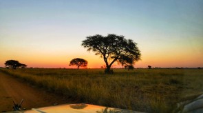 Makgoro Lodge Activities - Sunset Game Drive