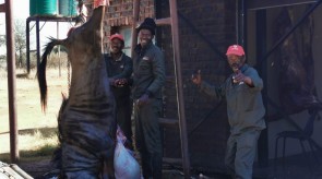 Makgoro Slaughter Facilities