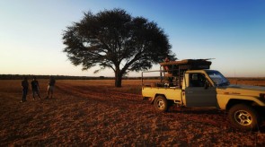 Makgoro hunting vehicle
