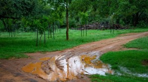 Makgoro Lodge - Game Walk